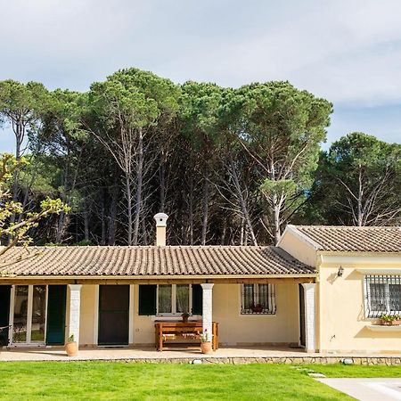 Villa Pine Forest Kompitsion Экстерьер фото