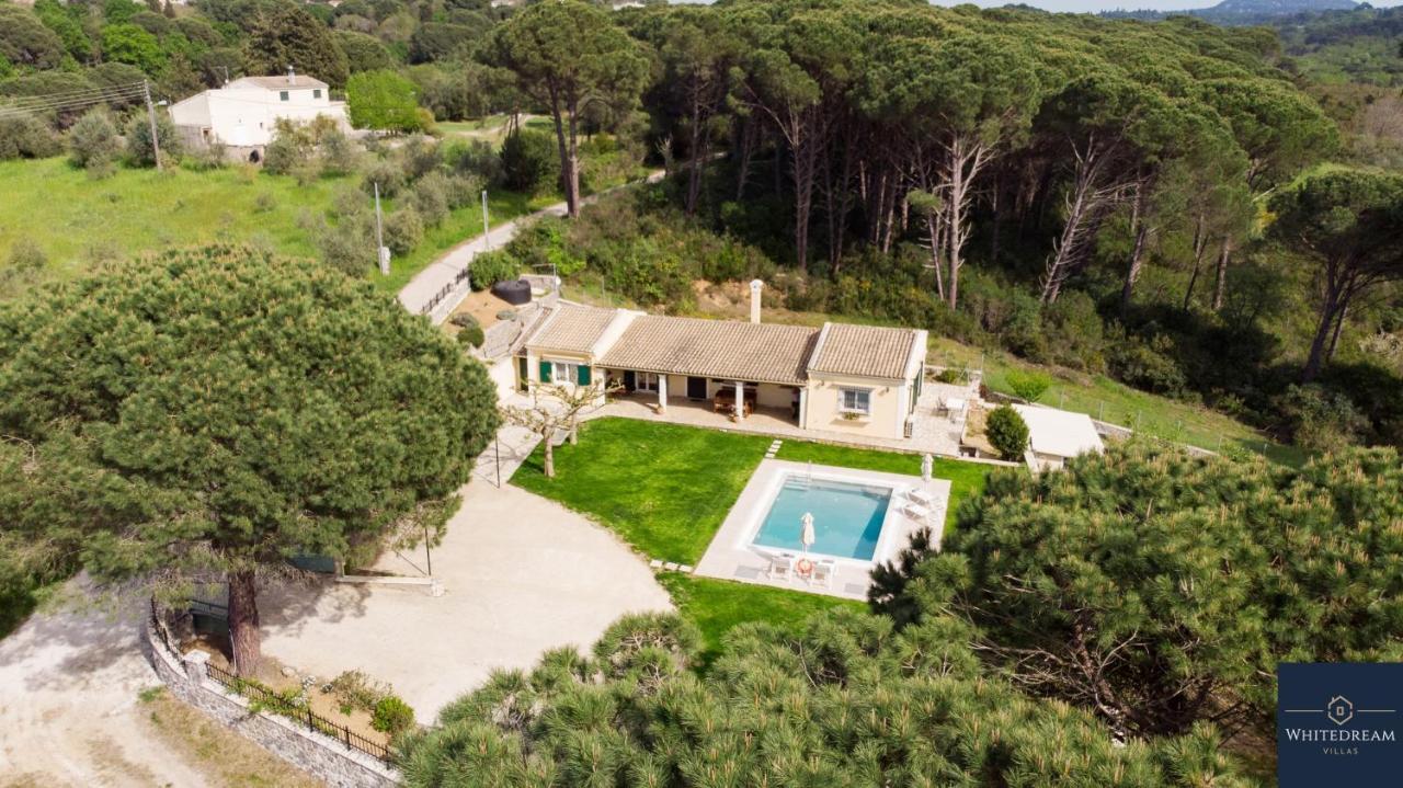Villa Pine Forest Kompitsion Экстерьер фото