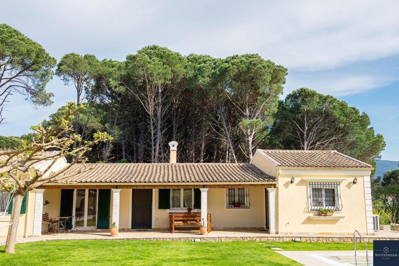 Villa Pine Forest Kompitsion Экстерьер фото