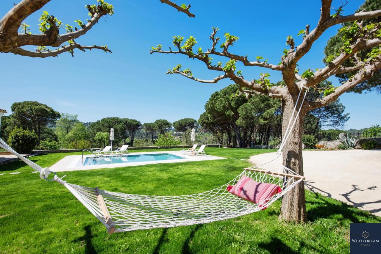 Villa Pine Forest Kompitsion Экстерьер фото