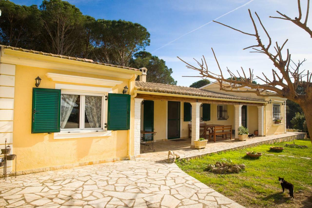 Villa Pine Forest Kompitsion Экстерьер фото